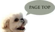 pagetop